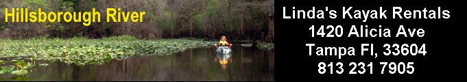 Kayak Rentals Tampa Downtown, Waverunner Rentals Tampa, 813-226-2628